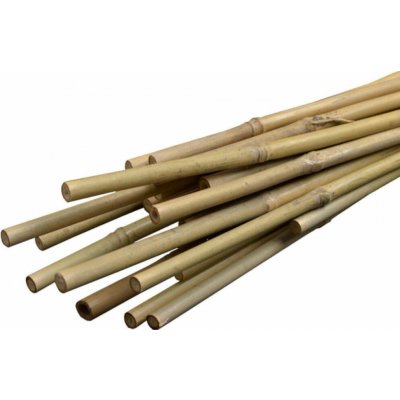 Igotrend Tyč rostlinám Bambus 4,0-4,5 x 210 cm set 3 ks 73826 – Hledejceny.cz
