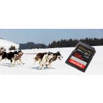 SanDisk SDXC 128 GB SDSDXXD-128G-GN4IN – Zboží Živě