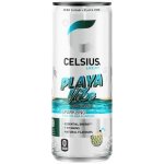 Celsius Energetický Nápoj Playa Vibe 355 ml – Hledejceny.cz