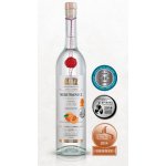 Fleret Collection 1850 Meruňkovice 50% 0,7 l (holá láhev) – Zboží Dáma