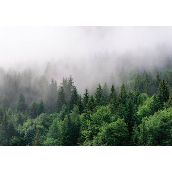 Postershop Fototapeta vliesová Mlha nad lesem (2), rozměry 254x184 cm