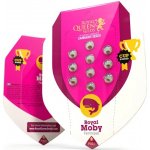 Royal Queen Seeds Royal Moby semena neobsahují THC 3 ks – Zboží Mobilmania