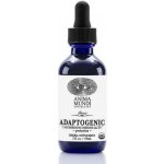 Anima Mundi Herbals Adaptogenní bio tinktura - směs funkčních hub 59 ml – Hledejceny.cz