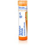 SYMPHYTUM OFFICINALE POR 15CH GRA 4G – Hledejceny.cz