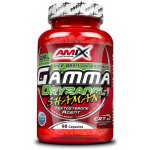 Amix Gamma Oryzanol 90 kapslí – Hledejceny.cz