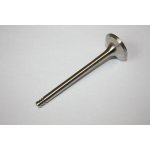 Výfukový ventil AUTOMEGA 130107610 – Zboží Mobilmania