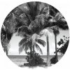 Tapety AG Design CR3309 Samolepicí fototapeta Palmy 140x140 cm Monochromatic Palms / kruhové samolepicí vliesové dekorace La Form (ø 140 cm)