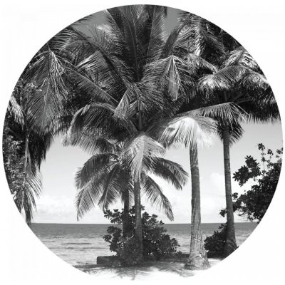 AG Design CR3309 Samolepicí fototapeta Palmy 140x140 cm Monochromatic Palms / kruhové samolepicí vliesové dekorace La Form (ø 140 cm) – Zbozi.Blesk.cz