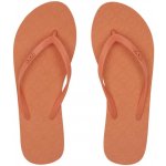 Roxy Viva IV – Sleviste.cz