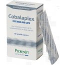 Protexin Cobalaplex 60 ks