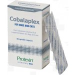 Protexin Cobalaplex 60 ks – Zboží Mobilmania