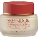 Skeyndor Antioxidante Q-10 Skin Repair Cream antioxidační krém s vitamíny 50 ml