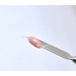 NL nails professional Uv Led PolyAcrygel camu 01 100 ml – Hledejceny.cz