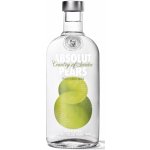 Absolut Pears 40% 0,7 l (holá láhev ) – Zboží Dáma