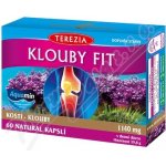 Terezia Company Klouby fit 60 kapslí – Hledejceny.cz