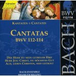 Bach - Ensemble - Helmuth Rilling - Bach - Cantatas Vol. 36 – Hledejceny.cz