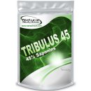 Natural Nutrition Tribulus Terrestris 40% saponinů 100 g