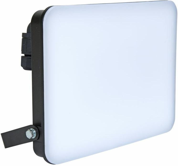 Ecolite RFL02-100W
