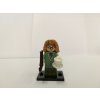 LEGO® doplněk LEGO® Minifigurky 71022 Harry Potter Fantastická zvířata 22. série Profesorka Sybil Trelawney