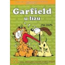 Komiks a manga Garfield u lizu č.23) - J. Davis