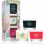 Yankee Candle Under the Desert Sun 3ks – Zboží Dáma