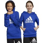 adidas Big Logo Essentials Hoodie Jr IC6834 – Zbozi.Blesk.cz