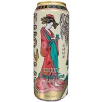 Arizona Diet Green Tea 0,65 l – Sleviste.cz