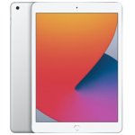 Apple iPad 10,2 (2021) 64GB Wi-Fi Silver MK2L3TY/A – Zboží Živě