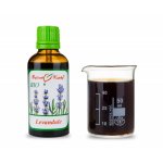 Bylinné kapky Levandule BIO kapky tinktura 50 ml – Hledejceny.cz