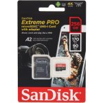 SanDisk microSDXC UHS-I U3 256 GB SDSQXCD-256G-GN6MA – Zboží Mobilmania