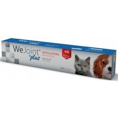 Dr.Vet WeJoint Plus pasta 30 ml – Hledejceny.cz