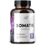 Sibi Somatik komplex houbové extrakty 90 kapslí – Hledejceny.cz