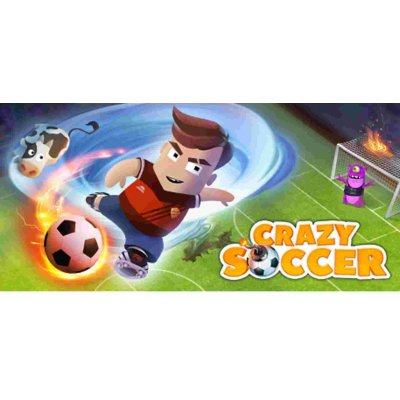 Crazy Soccer