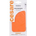 Mr&Mrs Fragrance Cesare Scented Cards Energy – Hledejceny.cz