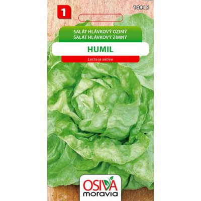 Salát hlávkový ozimý Humil Seva Seed 0,3 g