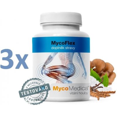 Mycomedica MycoFlex 3 x 90 kapslí – Hledejceny.cz