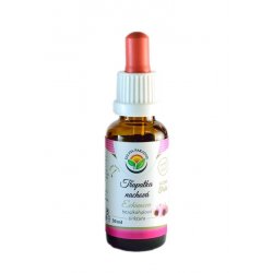 Salvia Paradise Echinacea Třapatka nachová AF tinktura 30 ml