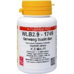Sinecura WLB2.9-1749 tianwang buxin dan 60 tablet – Hledejceny.cz