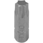 Bit TORX T 40 – Zboží Dáma