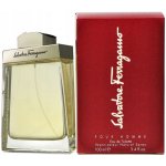 Salvatore Ferragamo Pour Homme toaletní voda pánská 100 ml – Hledejceny.cz