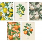 Top 2000 Sešit Summer Harvest Club A5 linkovaný – Zboží Dáma