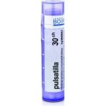 PULSATILLA POR 30CH GRA 4G – Hledejceny.cz