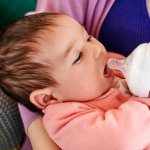 Philips Avent láhev Natural hroch 1 ks 260ml – Zboží Dáma