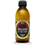 Zdravý Svet Lipozomální železo 200 ml – Hledejceny.cz