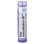 RHUS TOXICODENDRON POR 30CH GRA 4G – Hledejceny.cz