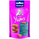 Vitakraft Yums losos 40 g – Zbozi.Blesk.cz
