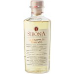 Sibona Grappa di Moscato 40% 0,5 l (holá láhev) – Hledejceny.cz