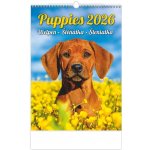 Helma nástěnný Puppies/Welpen/Štěňátka/Šteniatka 24 × 33 cm 2026 – Hledejceny.cz