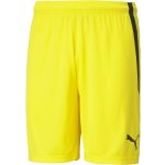 Puma teamLIGA Shorts – Zboží Dáma