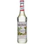 Monin Ginger 1 l – Zboží Mobilmania